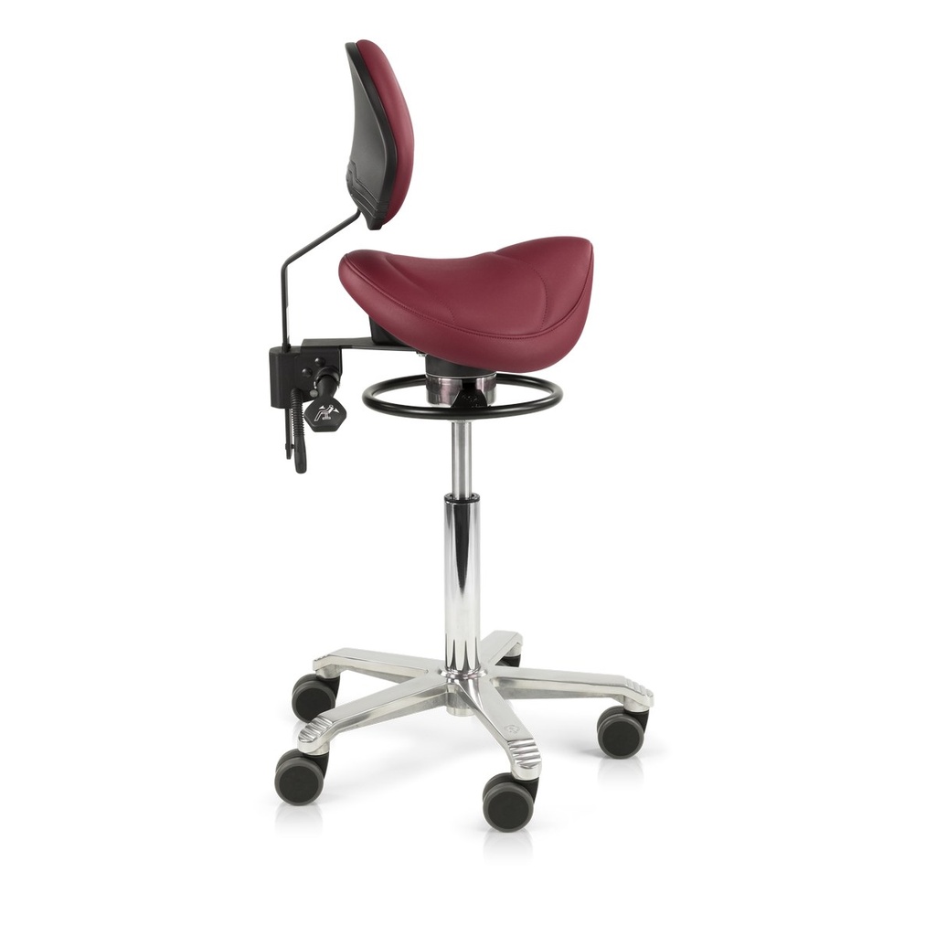 Score Amazone & Jumper zadelkruk met lendensteun, Balance (2)