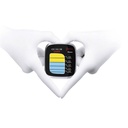 Woodpecker Minipex apexlocator (3)