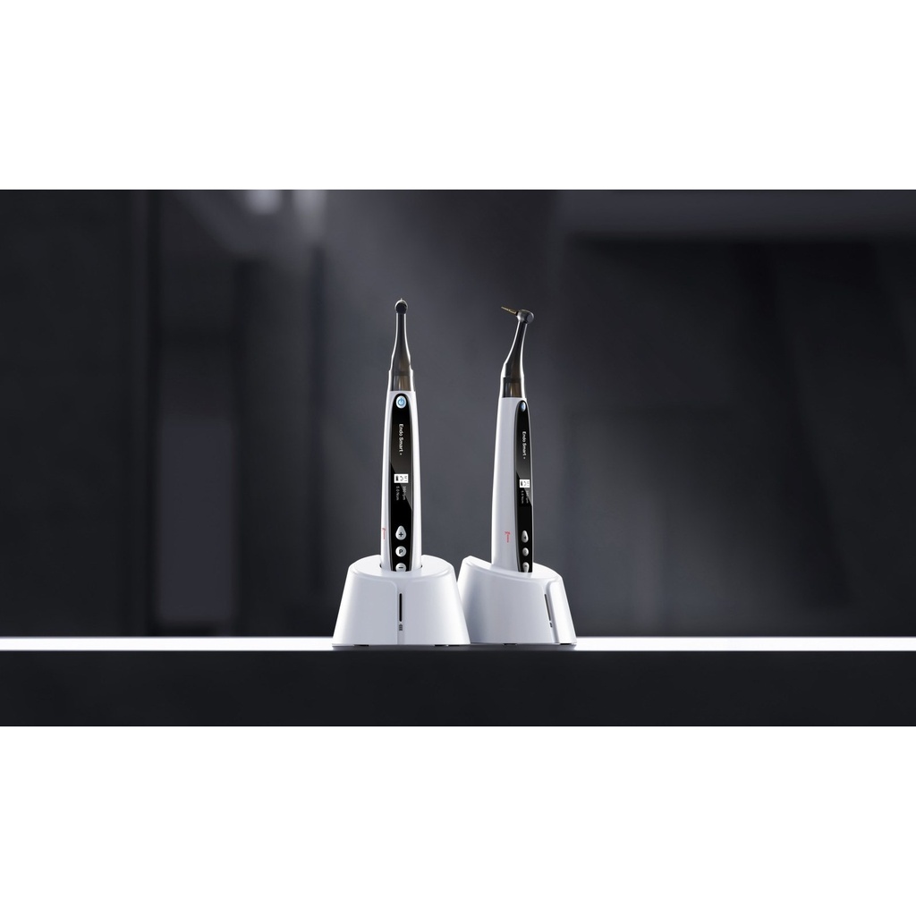 Woodpecker Endo Smart Plus endomotor (2)