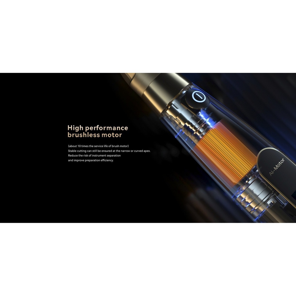 Woodpecker Ai-Motor Terauchi Black Edition endomotor (6)