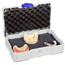 BDT TR-Box Mini met inzet en dekselkussen (2)