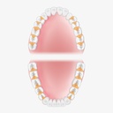 American Eagle Quik-Tip Gracey +3 Deep Pocket-curette 11,  (3)