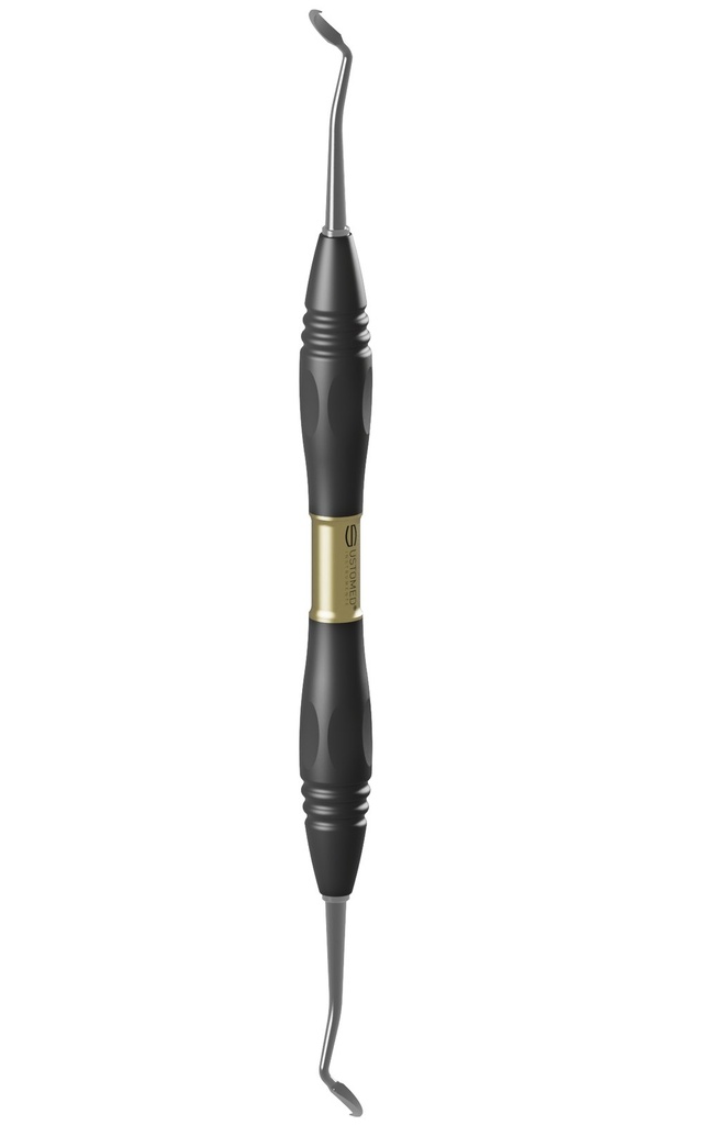 TAYLOR, scaler, T2/T3, PEEK handle (2)