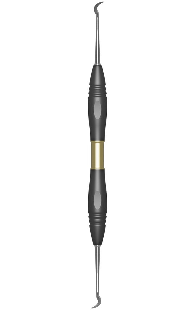 TAYLOR, scaler, T2/T3, PEEK handle (4)