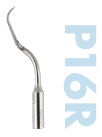 Dürr MyLunos Scaler tip P16R