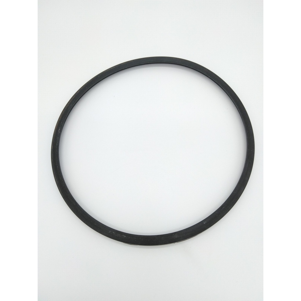 W&H Door Seal for W&H Lisa
