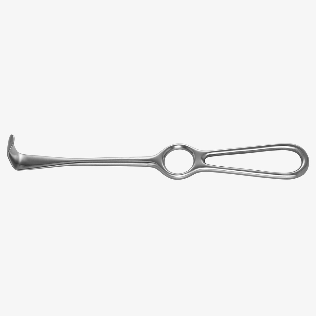 [AESRLAN1] American Eagle wanghaak Langenbeck 1, 30 × 16 × 210 mm