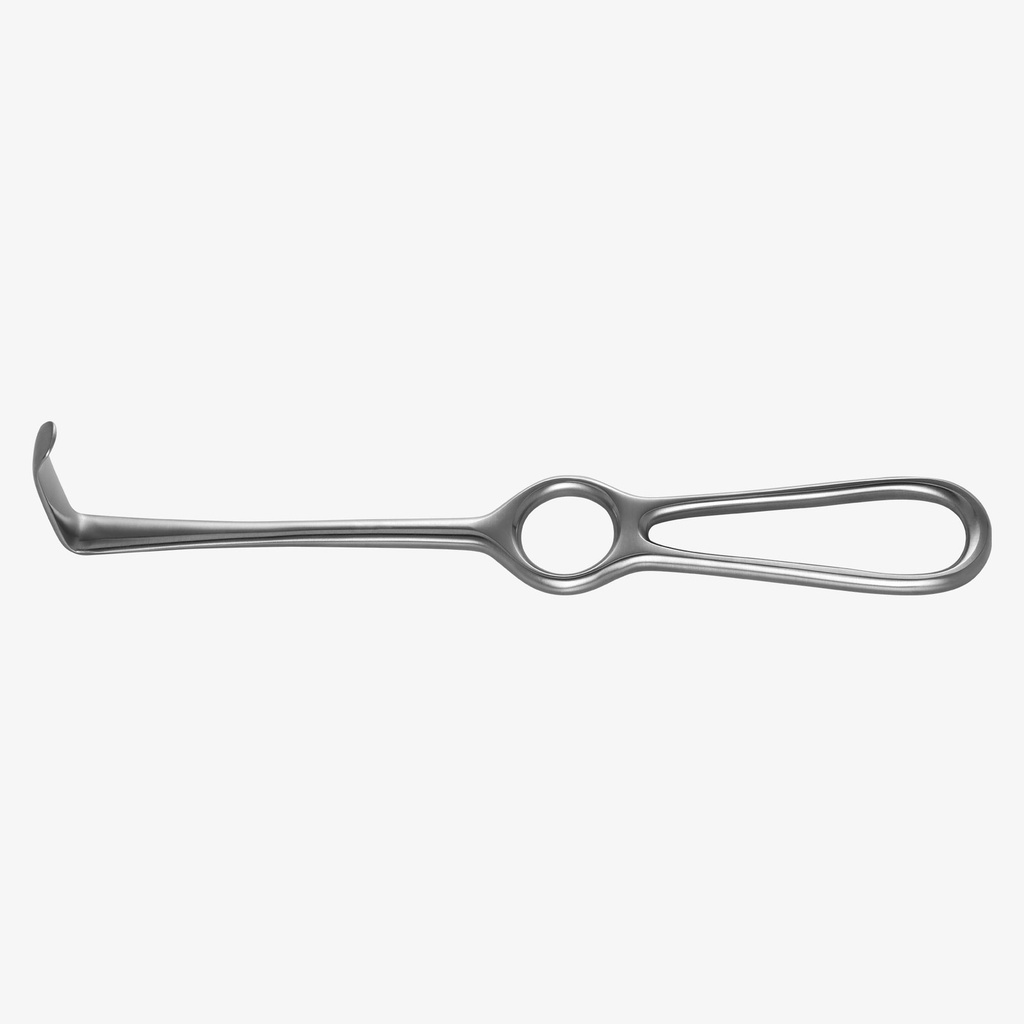 American Eagle wanghaak Langenbeck 2, 40 × 11 × 210 mm