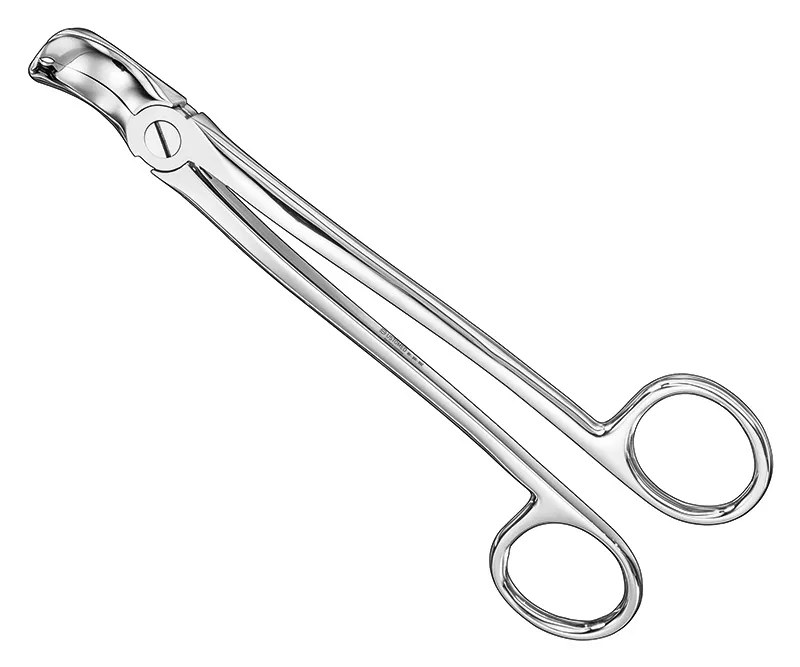 Ustomed - EULER, extracting fcps., for lower wisdoms