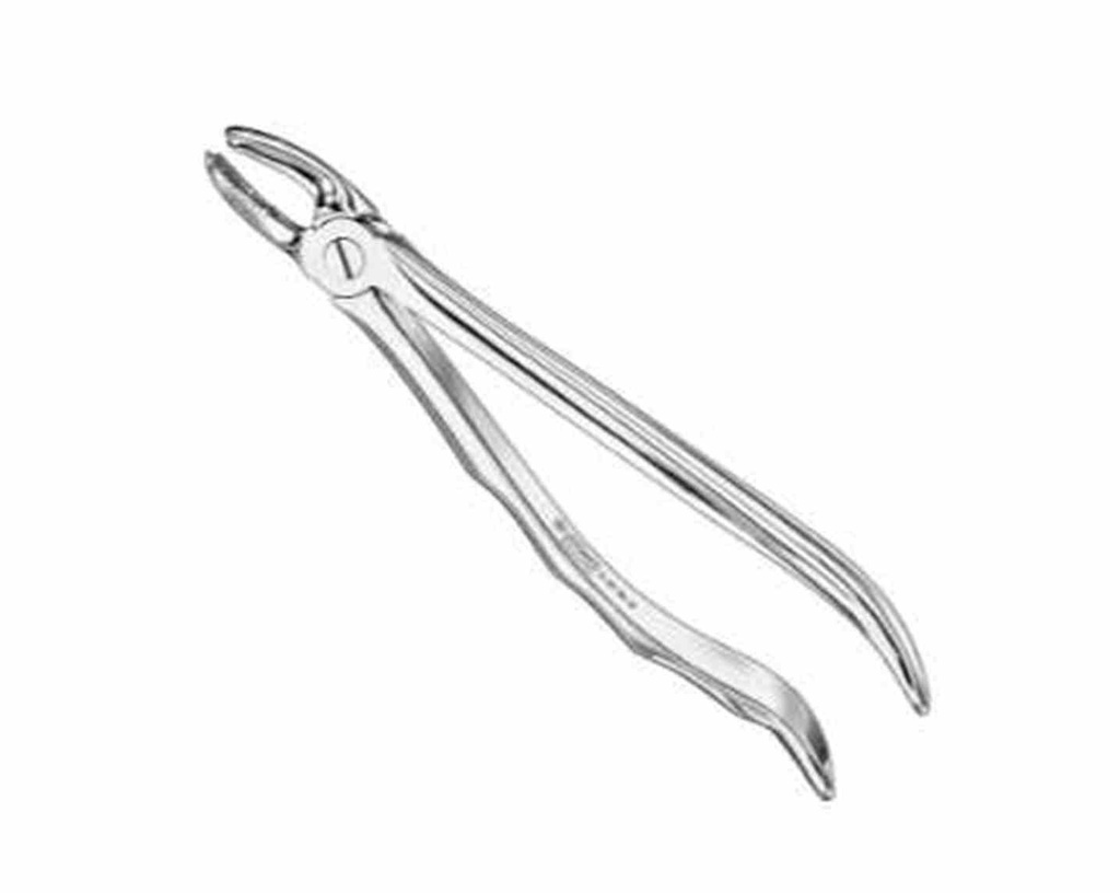 Ustomed - Extracting forceps, anat., sz.17, nonslip